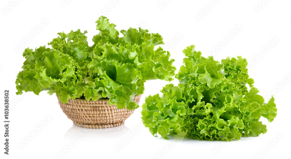 Fresh green lettuce in the basket isolated on a white background Fresh green lettuce in the basket isolated on a white background