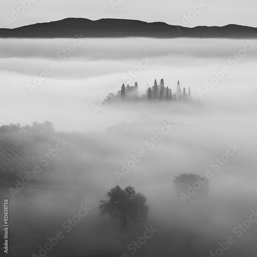 B W Landscape with Fog