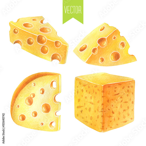 Watercolor set of cheeses