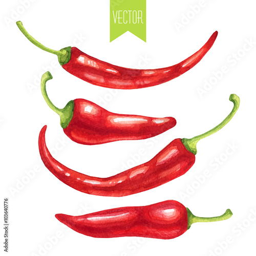 Watercolor set of chili peppers