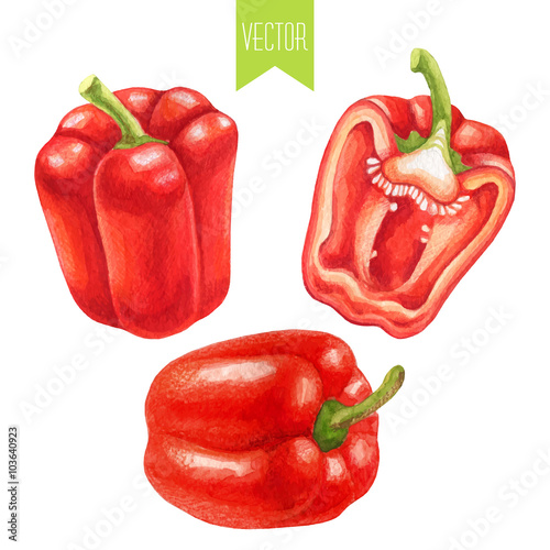 Watercolor set of red bell peppers
