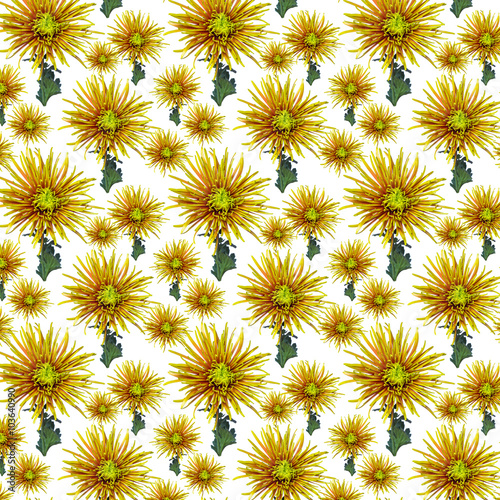 green orange chrysanthemum flower pattern