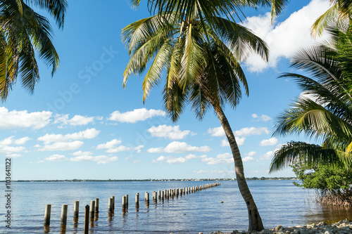 Tableau sur toile Edison Pier in Caloosahatchee River and palm trees in Fort Myers, Florida, USA