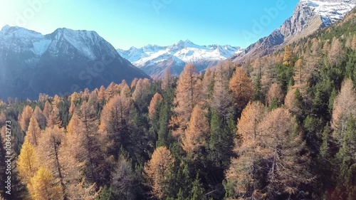 Sorvolo bosco in Autunno - Ripresa aerea photo