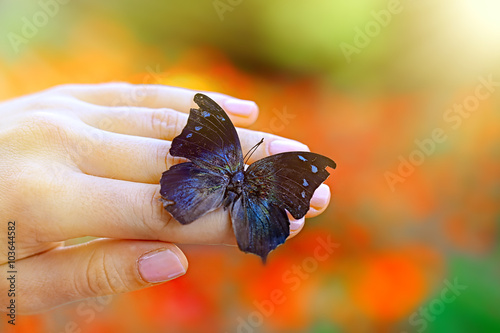 Beautiful colorful butterfly sitting on female hand, close-up photo