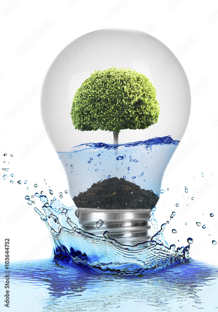 Tree growing inside light bulb water and in water splash on white Stock Photo | Adobe Stock