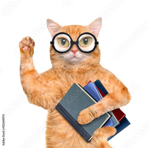 Fototapeta Naklejka Na Ścianę i Meble -  Cat with books. Isolated on white.