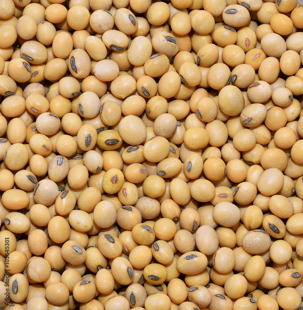 Soybean on background Soybean on background