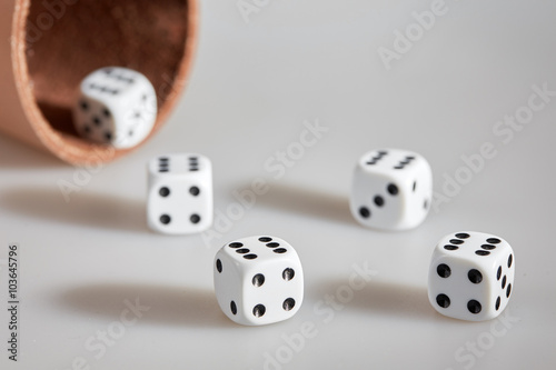 Five dices and a dice cup