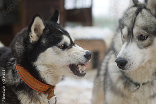 I do not understand why you're angry at me?