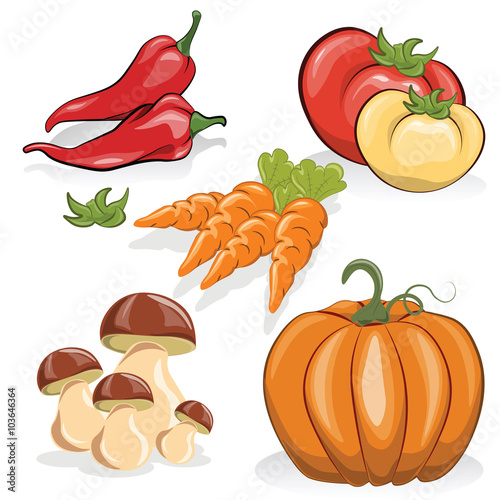 Set of vegetables. Vector set