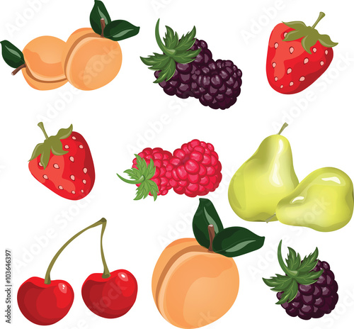 Summer fruits set. Vector