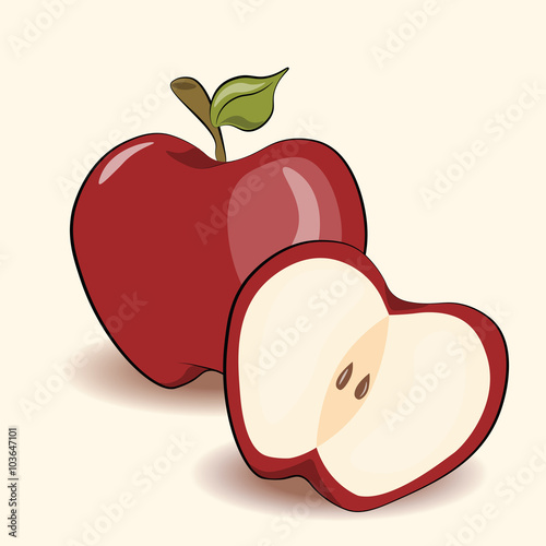 Red apple isolated. Vector