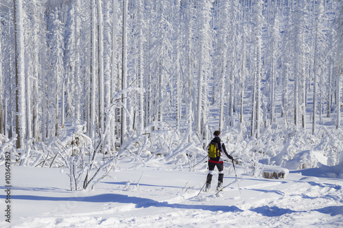 Women is skiing in the snow covered Bavarian Forest