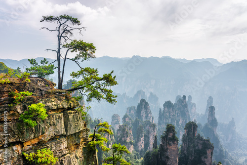 Fototapeta Naklejka Na Ścianę i Meble -  Green tree growing on top of rock (Avatar Mountains)