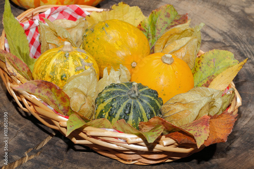 Zierkürbisse mit Physalis und Herbstlaub in einem Korb,  Ernteda photo