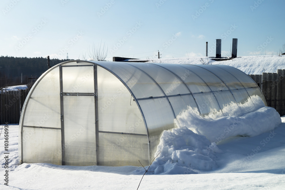 Hothouse for plants with vegetable in garden in winter Hothouse for plants with vegetable in garden in winter