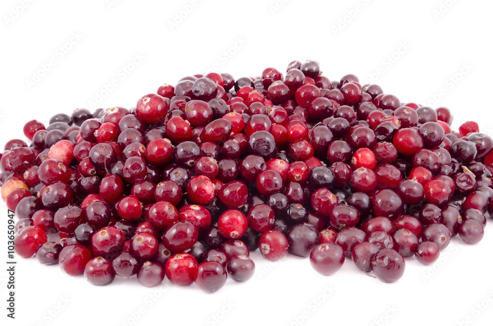 Ripe red cranberries on a white background Ripe red cranberries on a white background