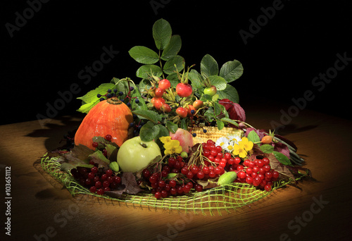 Натюрморт из овощей на черном фоне, тыква, калина, шиповник, яблоко, кукуруза.