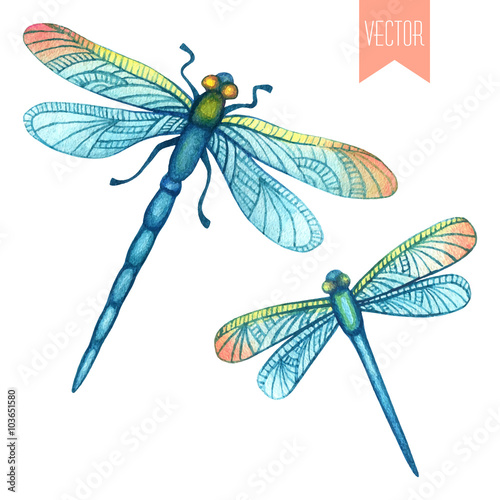 Watercolor set of dragonflies