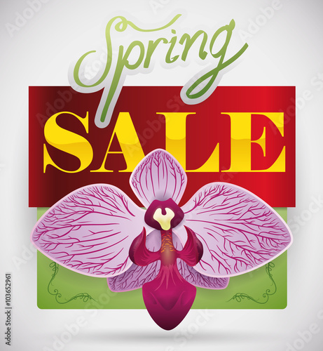 Spring Sale Design with a Beautiful Orchid, Vector Illustration