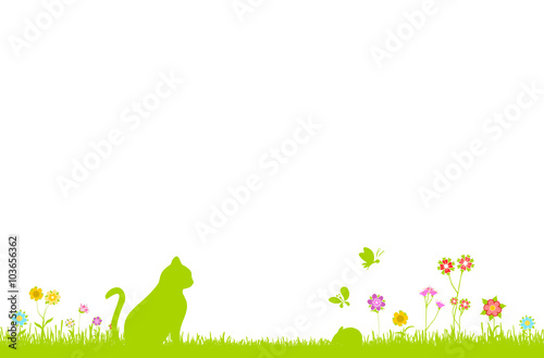 Wiese mit Katze
