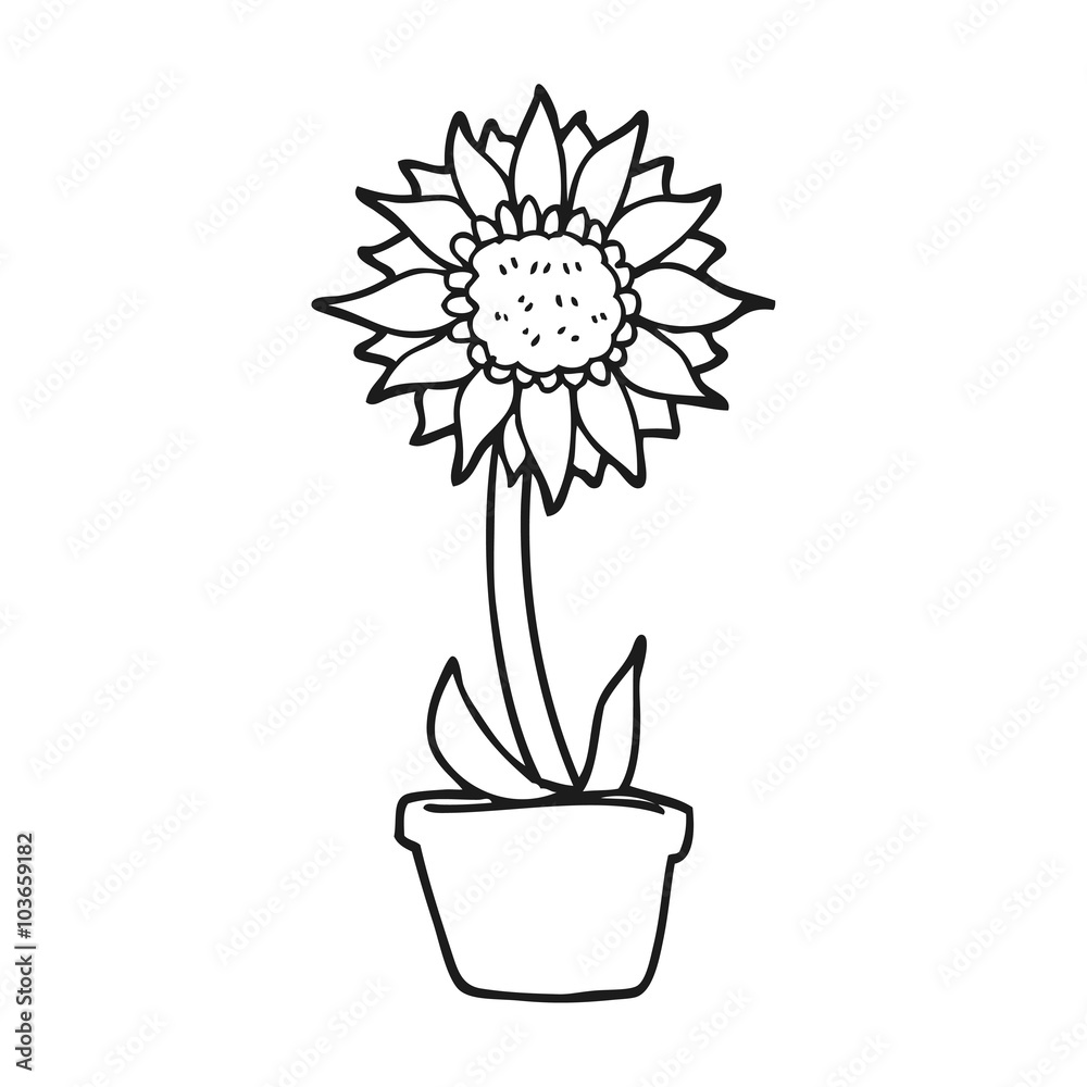 black and white cartoon sunflower Stock Vector | Adobe Stock