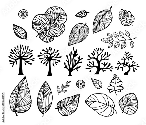 A set of leaves and trees, vector illustration