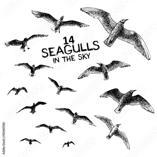 14 seagulls in the sky, engraved style hand drawing vector illustration