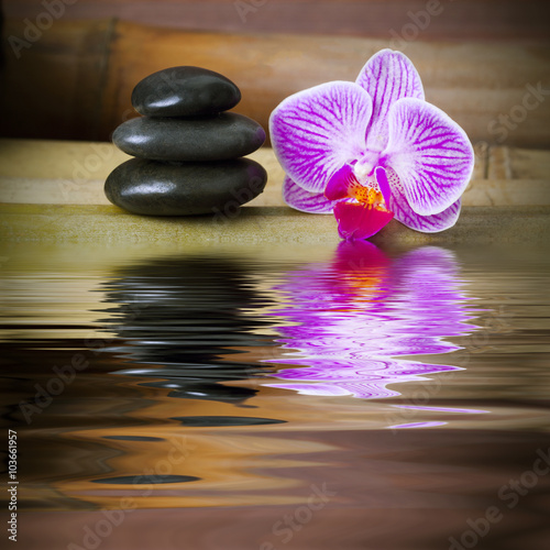 orchid and stones with bamboo in spa