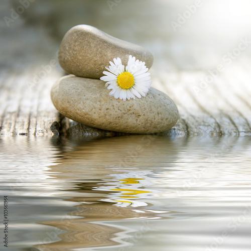 Fototapeta Naklejka Na Ścianę i Meble -  stones in balance with daisy and reflection in water