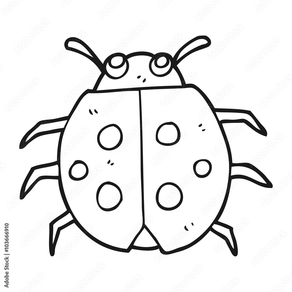 black and white cartoon ladybug black and white cartoon ladybug