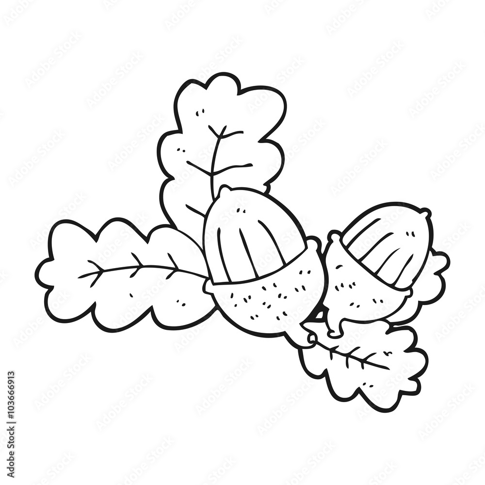 black and white cartoon acorns and leaves black and white cartoon acorns and leaves
