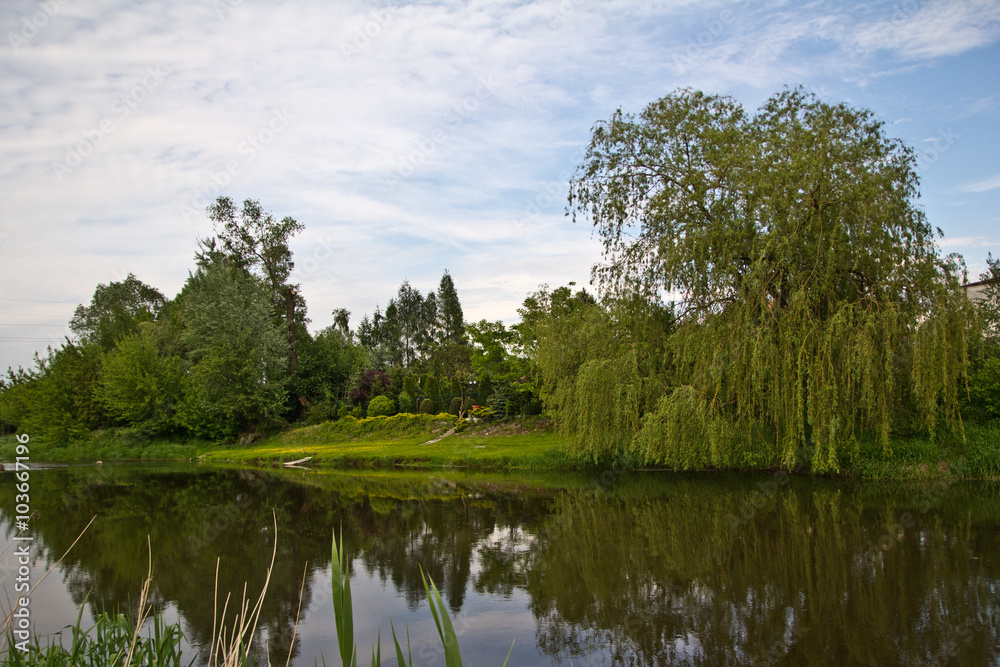Fototapeta premium Rzeka Bzura