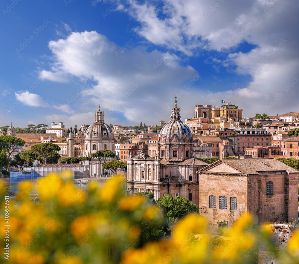 View of Rome from Roman Forum in Italy