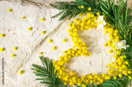 Мимоза на каменном фоне к международному женскому дню 8 марта и пасхе