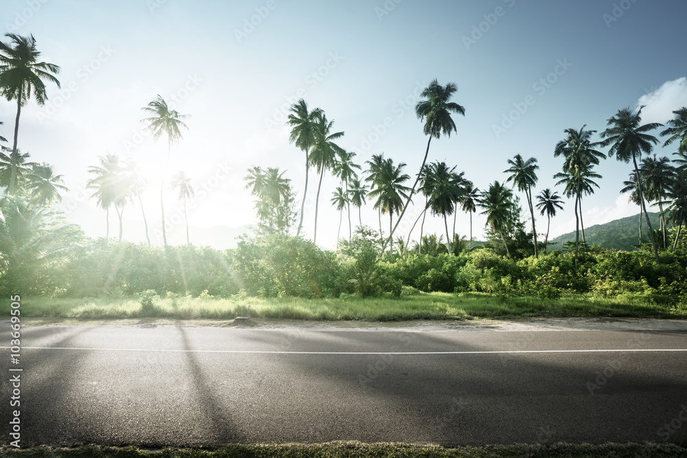 empty road in jungle of Seychelles islands