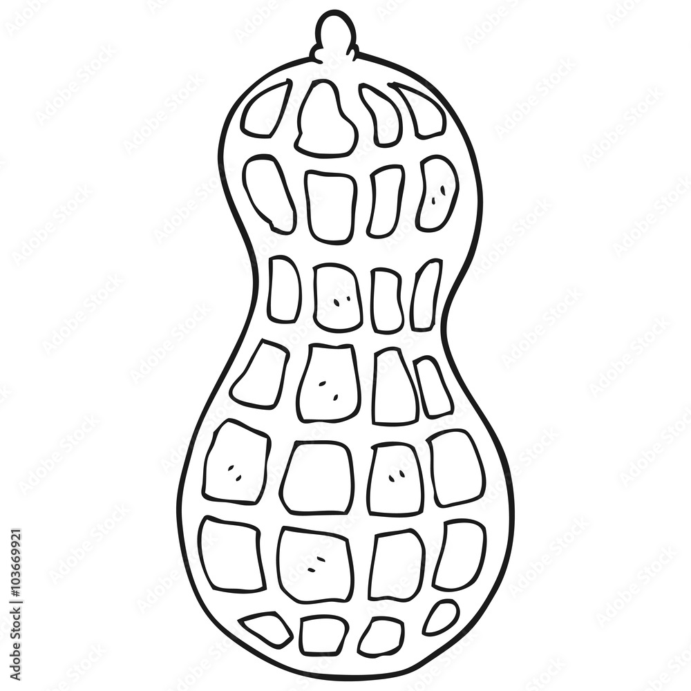 Peanut Clipart Black And White