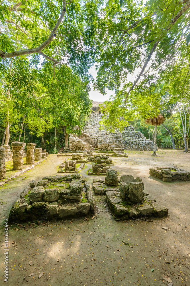 Fototapeta premium Mayan Pyramid in Coba. Mexico.