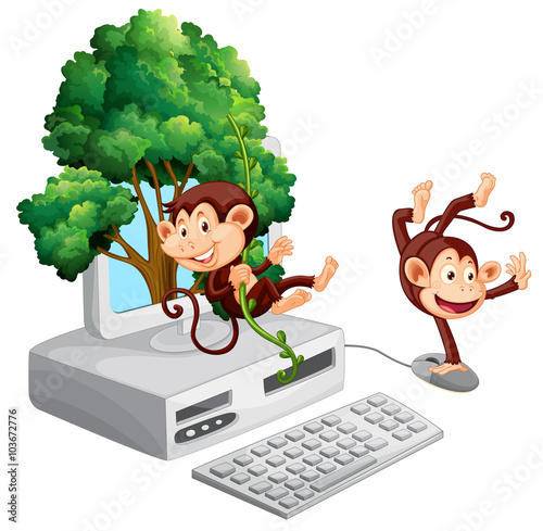 Two monkeys on computer screen