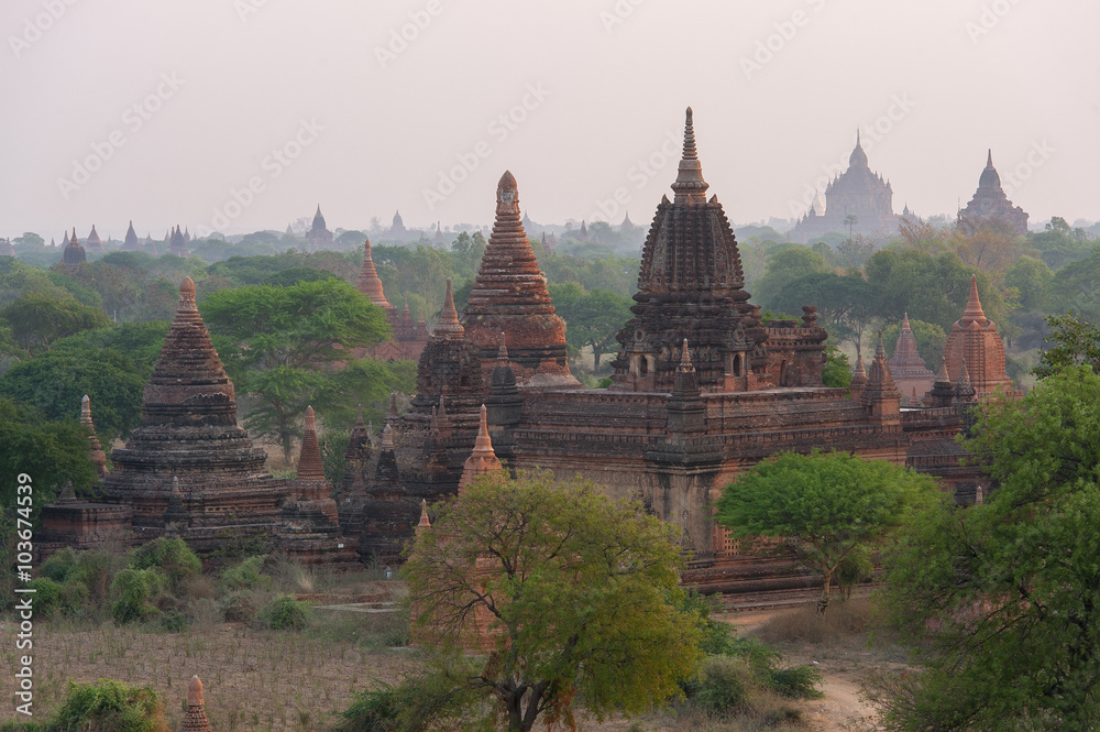 A Thousand of Pagoda in Bagan, Myanmar