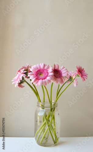 Pink gerberas in a glass jar against a neutral background
