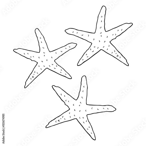 black and white cartoon starfish