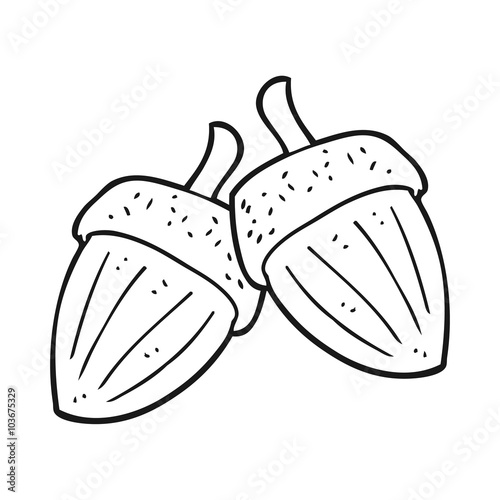 black and white cartoon acorns