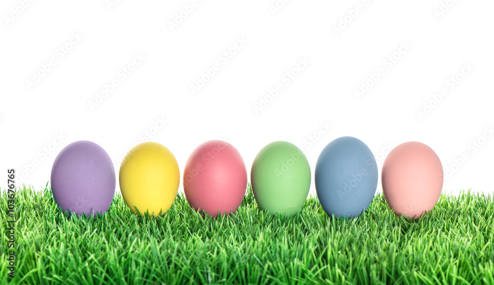 Easter eggs decoration in green grass on white background