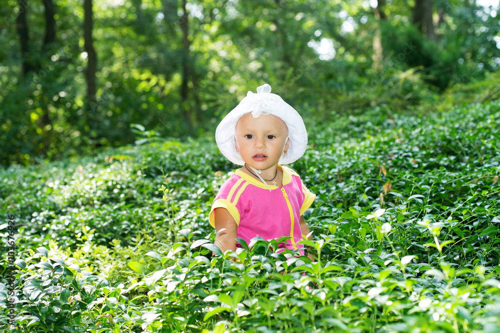 The child, a little girl was hiding in the bushes by the parents, the child is studying the forest flora, development and education of the child, walk in the park The child, a little girl was hiding in the bushes by the parents, the child is studying the forest flora, development and education of the child, walk in the park