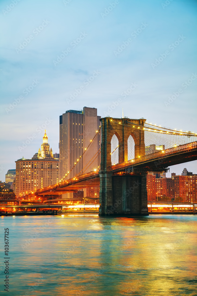 Obraz premium Lower Manhattan cityscape with the Brooklyn bridge