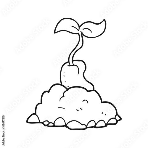 black and white cartoon sprouting seed