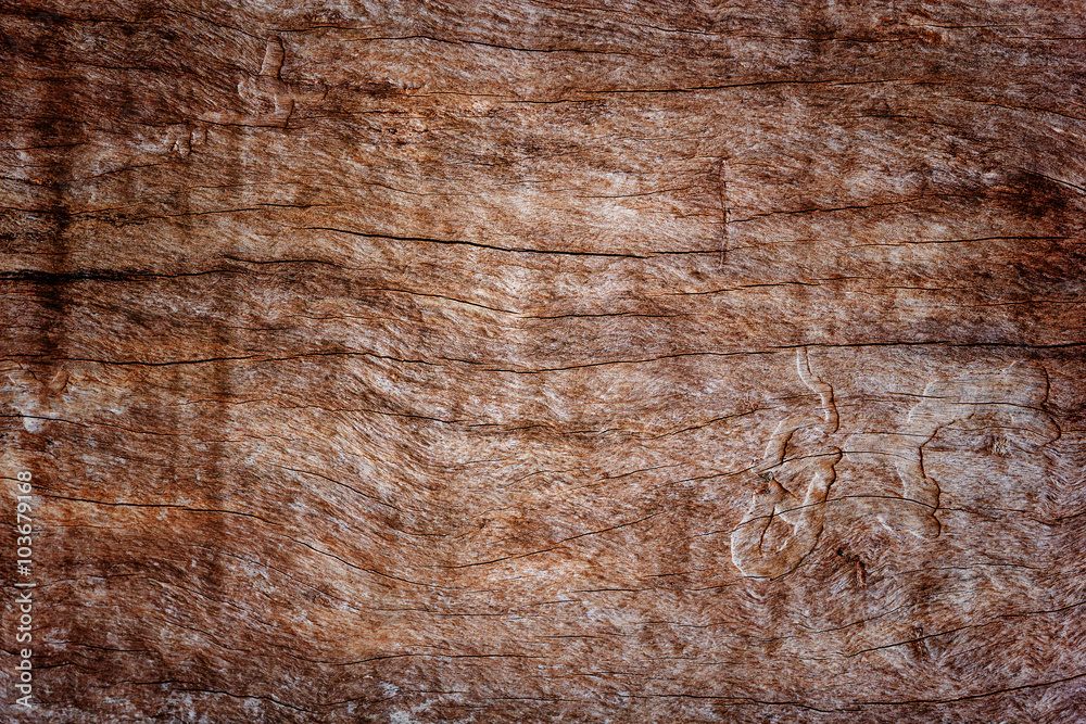 Obraz premium Wood texture background
