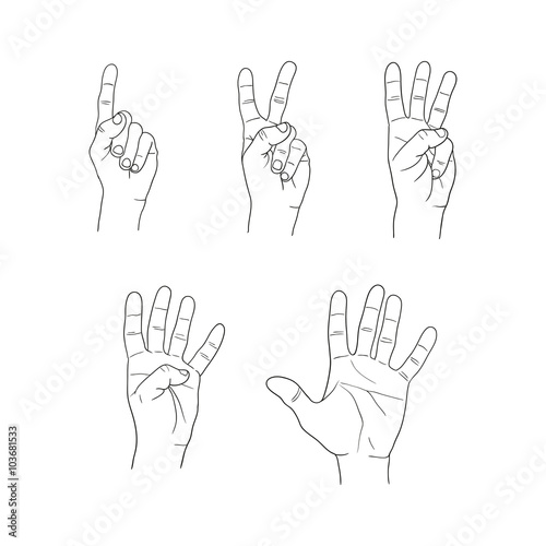 hands fingers numeral set on white background